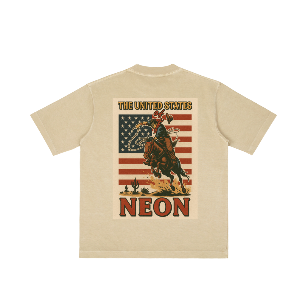 usa,flag,cowboy,horse ,rider,vintage